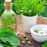 traditional Ayurvedic medicine preparation with herbs and mortar