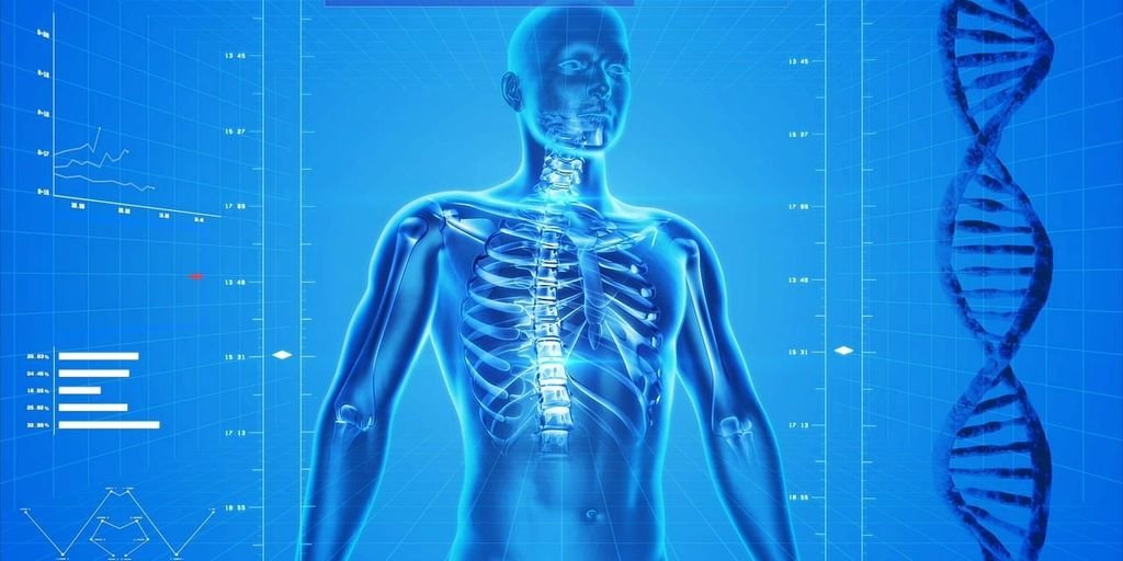 healthy bones illustration